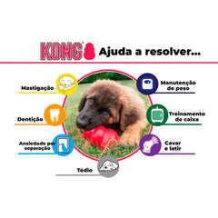 KONG Extreme | Para Cachorro - BonoPet