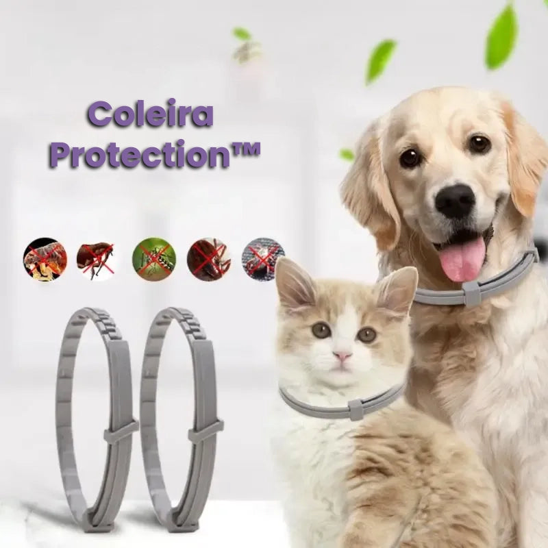 Coleira Protection™ | Para Cachorro e Gato - BonoPet