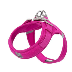 Peitoral Truelove® Power Basic | Para Cachorro