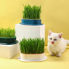 Vaso Planting Box™ | Para Gato