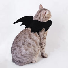 Fantasia BatWing™ | Para Gato