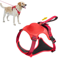 Peitoral Multifuncional FreedomLeash™ | Para Cachorro