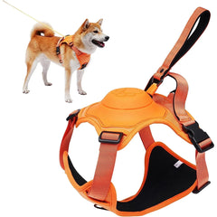 Peitoral Multifuncional FreedomLeash™ | Para Cachorro