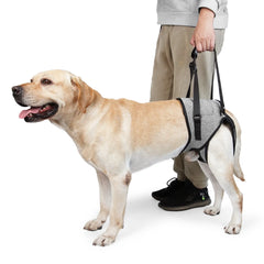 Suporte SlingPro™ | Para Cachorro