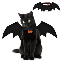 Fantasia BatWing™ | Para Gato