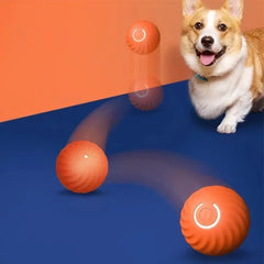 Bolinha Bouncing™ | Para Cachorro e Gato